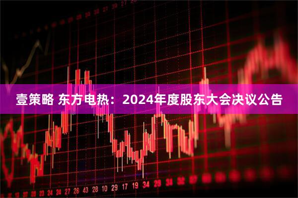 壹策略 东方电热：2024年度股东大会决议公告