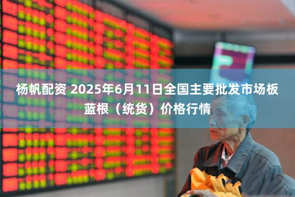 杨帆配资 2025年6月11日全国主要批发市场板蓝根（统货）价格行情