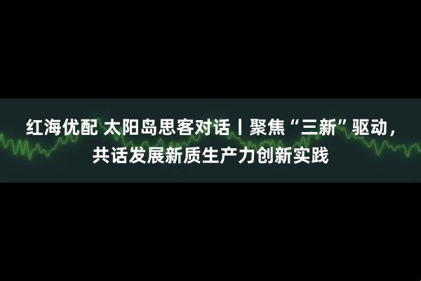 红海优配 太阳岛思客对话丨聚焦“三新”驱动，共话发展新质生产力创新实践