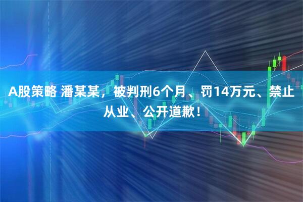 A股策略 潘某某，被判刑6个月、罚14万元、禁止从业、公开道歉！