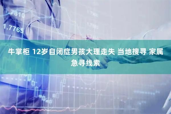 牛掌柜 12岁自闭症男孩大理走失 当地搜寻 家属急寻线索
