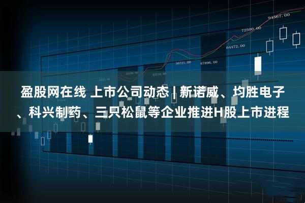 盈股网在线 上市公司动态 | 新诺威、均胜电子、科兴制药、三只松鼠等企业推进H股上市进程