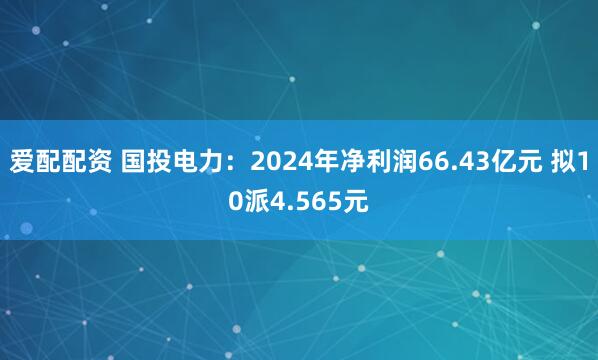 爱配配资 国投电力:2024年净利润66.43亿元 拟10派4.565元